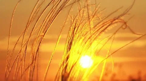 End Of The Day Stock Footage 52549393