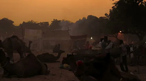 End of the day in Pushkar Camel Fair. Stock Footage 61364434