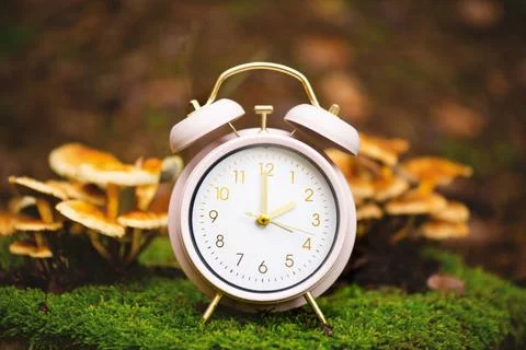 End of daylight saving time in fall, winter time changeover, alarm clock w... Stock Photos