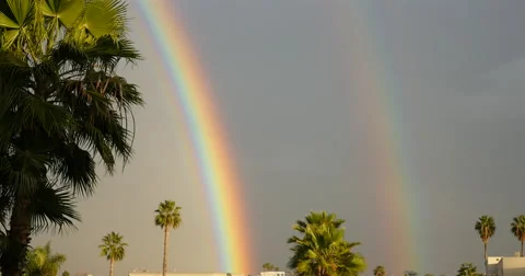 End of a double rainbow with palm trees Video stock 45158237