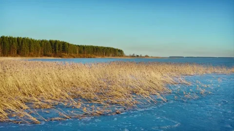 End of fall, ice melt, reeds frozen into ice floes. Aerial Drone Shot. Stock Footage 257779178