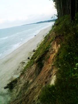 End Of The Forest , Begining Of The Sea.jpg Stock Photos