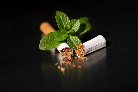 End of mint cigarette, closeup Stock Photos