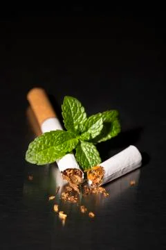 End of mint cigarette, closeup Stock-Fotos