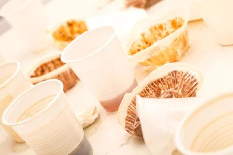 End of party. Stock Photos