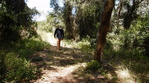 At the end of the path in the maritime pine forest is the beach 4633 Stock Footage 107972688