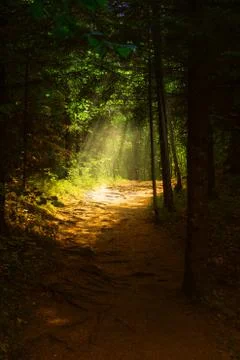 At the end Foto stock