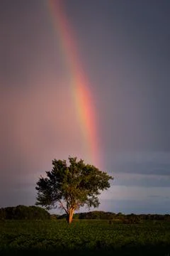 End of the Rainbow Stock Photos