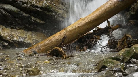 End of small waterfall behind tree Close up Stock Footage 56183697