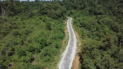 End street forest Video stock 297830502