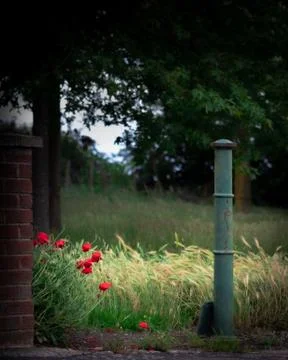 End of the street Stock Photos