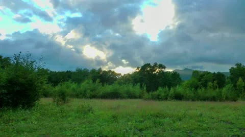 End of summer, heavy clouds, are a lot of mosquitoes before a rain 動画素材 12743223