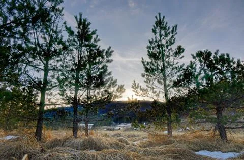 End of winter Foto stock