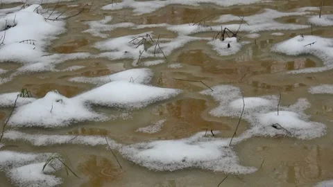 End of winter. Spring flood and rain in swamp Stock Footage 270768654