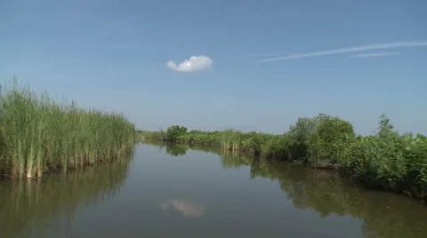 The Endangered Everglades Stock Footage 54712125