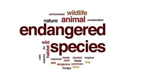 Endangered species animated word cloud, text design animation. Stock Footage 75252722