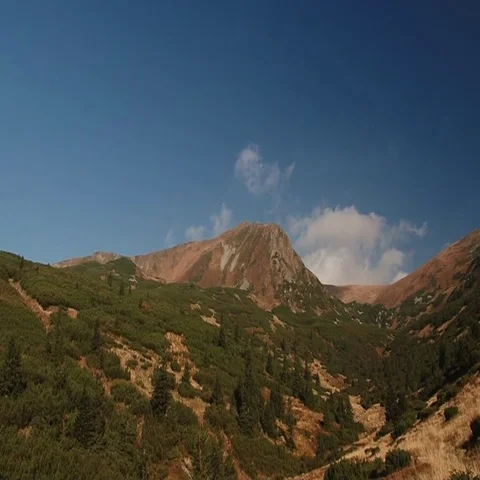 Ended forest and mountains begin Stock Footage 69519781