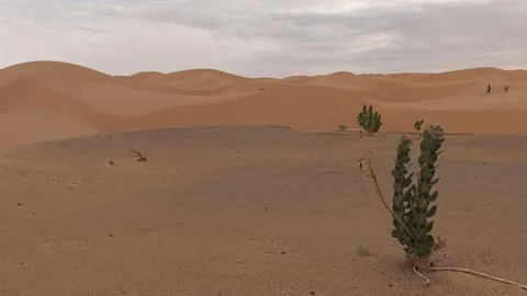 Endeless lines of sand dunes at the Erg Amatlich, Mauritania Vidéo 147373729