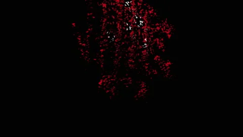 Endemic Stock Footage 170301571