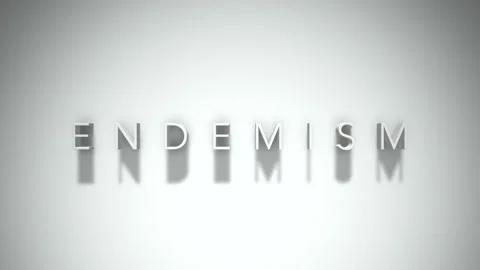 Endemism 3D title animation with shadows on a white background 動画素材 296519107
