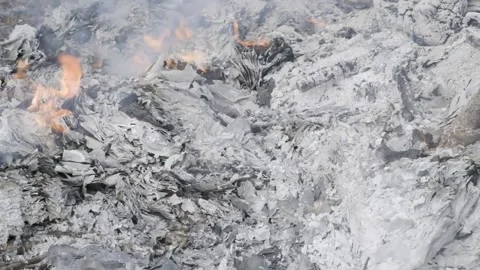 Ending phase of a burning of books and other documents close up slow motion Video stock 145681901