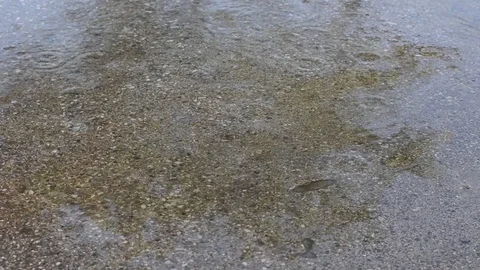 Ending rain on the road 動画素材 99832852