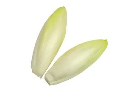 Endives 库存照片