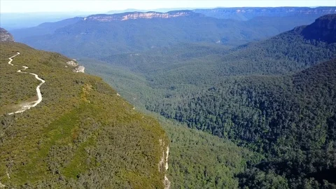 Endless and dense forest between mountains. Stock Footage 95897742