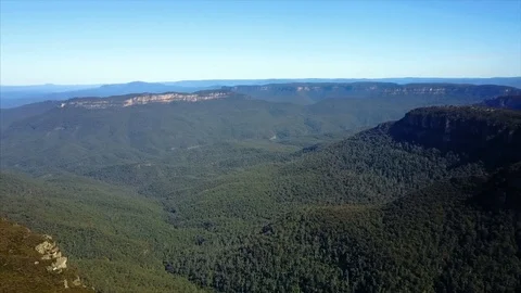 Endless and dense forest between mountains. Video stock 95897807