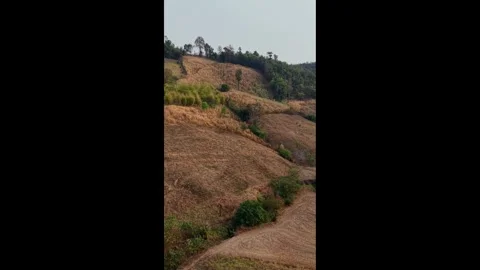 The Endless Brown Horizon Stock Footage 302461103