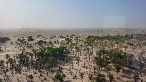 Endless Desert Landscape Seen from a Train During a Long Journey in Xinjiang Stock Footage 343708118
