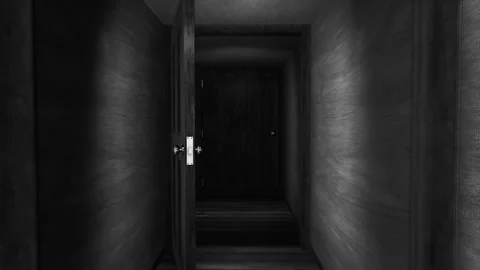 Endless doorways down a hallway black &amp; white Stock Footage 263221159
