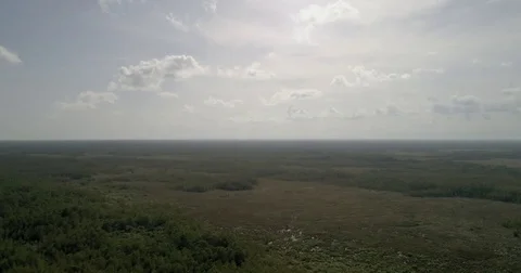 Endless expanse of grasslands florida everglades drone shot Stock Footage 85274408