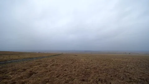 Endless field of haze and pillars Stock Footage 123074389