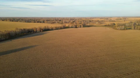 The endless fields after crop harvesting. Landscape of farmland after harvest. Stock Footage 287460241