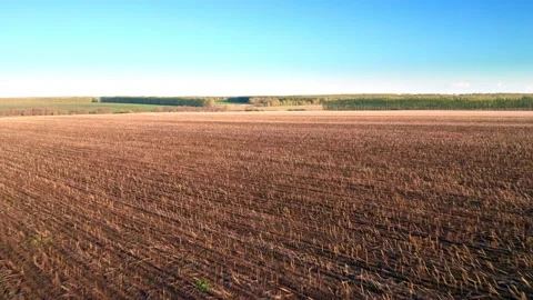 Endless fields and green forests, a beautiful light blue sky in the background Stock Footage 154012685