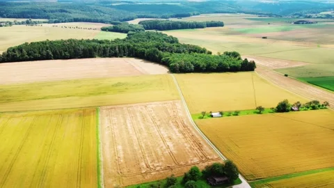 Endless fields of germany Stock Footage 161658338