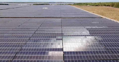Endless fields of solar panels in Vietnam, during a sunny day. elevated Vidéo 125227550