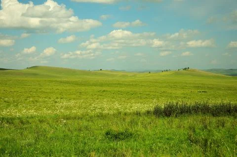Endless fields in the steppe and rows of low bushes in a sunlit valley. Stock Photos