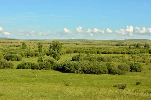 Endless flat steppe with sparse thickets of bushes surrounded by hills under Stock Photos