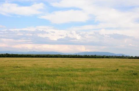 Endless flat steppe under a cloudy summer sky and the outskirts of the forest Stock Photos