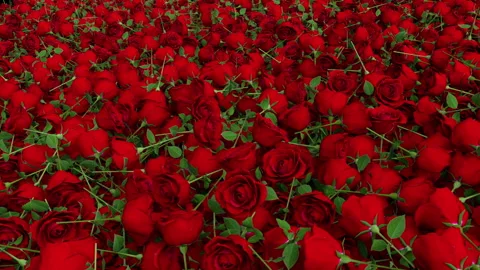 An endless flight over pile of roses – 3d render. Stock Footage 277705794