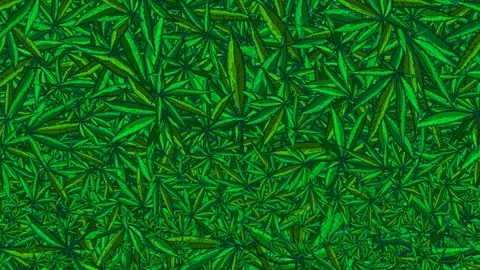 Endless Flight Through Cannabis Video stock 129517990