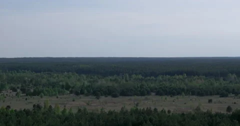 Endless forest from above summer Stock Footage 200846669
