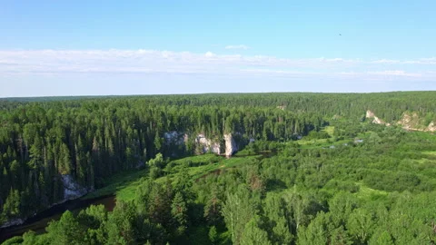 Endless forest and river Video stock 234352452