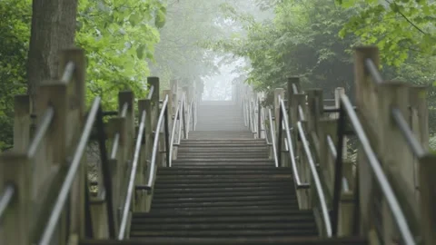 Endless forest staircase in the fog Stockbeeldmateriaal 277423102