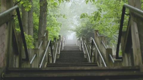 Endless forest staircase in the fog Stockbeeldmateriaal 277423104