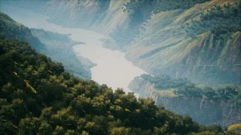 Endless forests in sunny day with perspective in color Stock Illustration