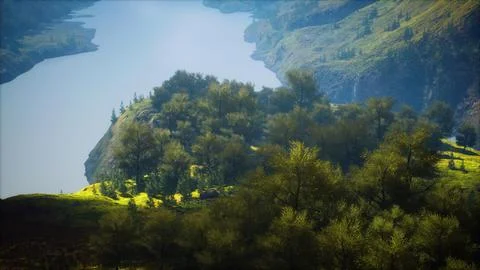 Endless forests in sunny day with perspective in color Stock Illustration