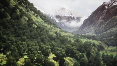 Endless forests in sunny day with perspective in color Stock Illustration